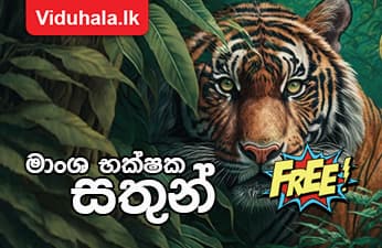 ක්‍රියාකාරකම්